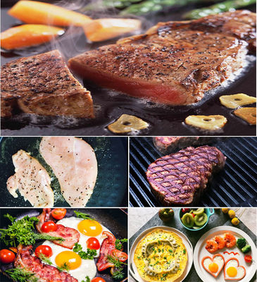 13 kg elektrische Panini Grill Commerciële Panini Sandwich Press Roestvrij staal Single Contact Grill