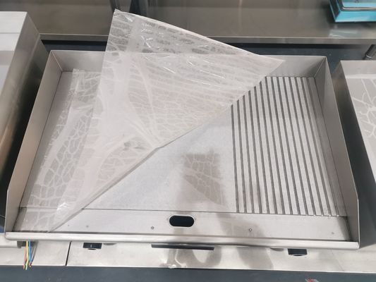 Elektrische grillmachine met roestvrij staalconstructie en temperatuurregeling
